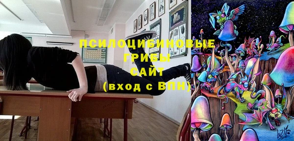 крисы Алзамай